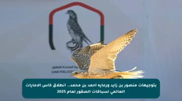 بتوجيهات منصور بن زايد ورعاية أحمد بن محمد.. انطلاق كأس الإمارات العالمي لسباقات الصقور لعام 2025